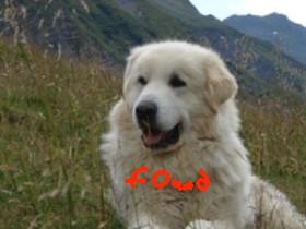 found