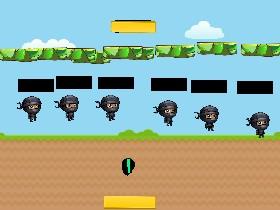 ninja training