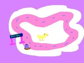snail race