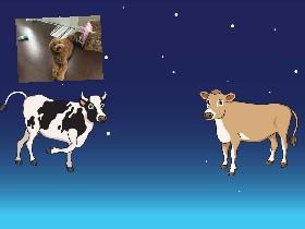 cows and puppy wow!