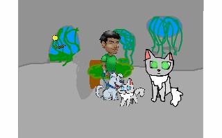 Warrior cats!