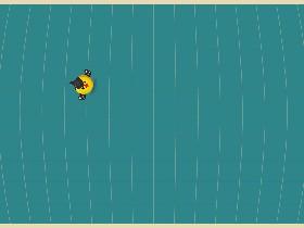 Bird Mayhem 1