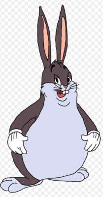 BIG CHUNGUS meme spreding