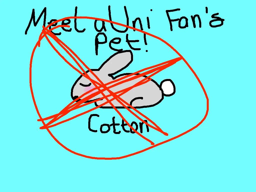 ........ By: The Uni Girls