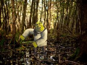 Shrek Flossing Animation 1