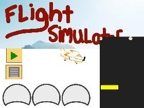 Flight simulator