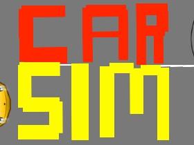 Car Sim RELEASED 1