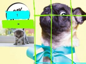 Kitten Clicker 1