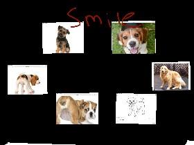 smile with da dogs!🤗😀😬😬😁
