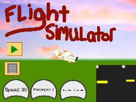 Plane Simulator 1O1 1