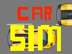 Car Sim RELEASED 1