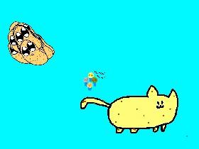 Potato Club contest 1