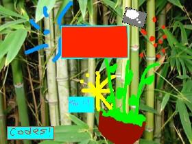 Panda Poker!(NEW YEAR!) 1