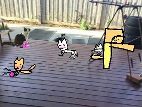 Cat animation