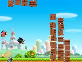Mario's Target Practice 4