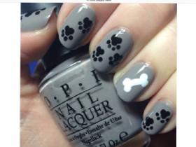 Puppy nails