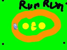 RUN RUN