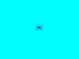 Catch the Orca