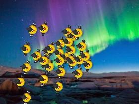 Bird weirdness