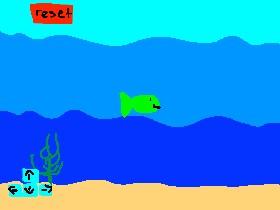 Fish Draw