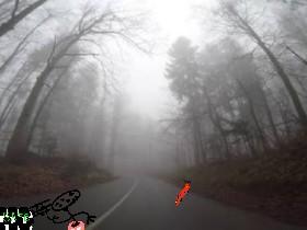 Don&#039;t get run over 1