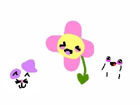 copy please ;-;