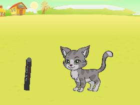 A Pet Game 1