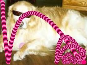 Falling Trails 1 1 1