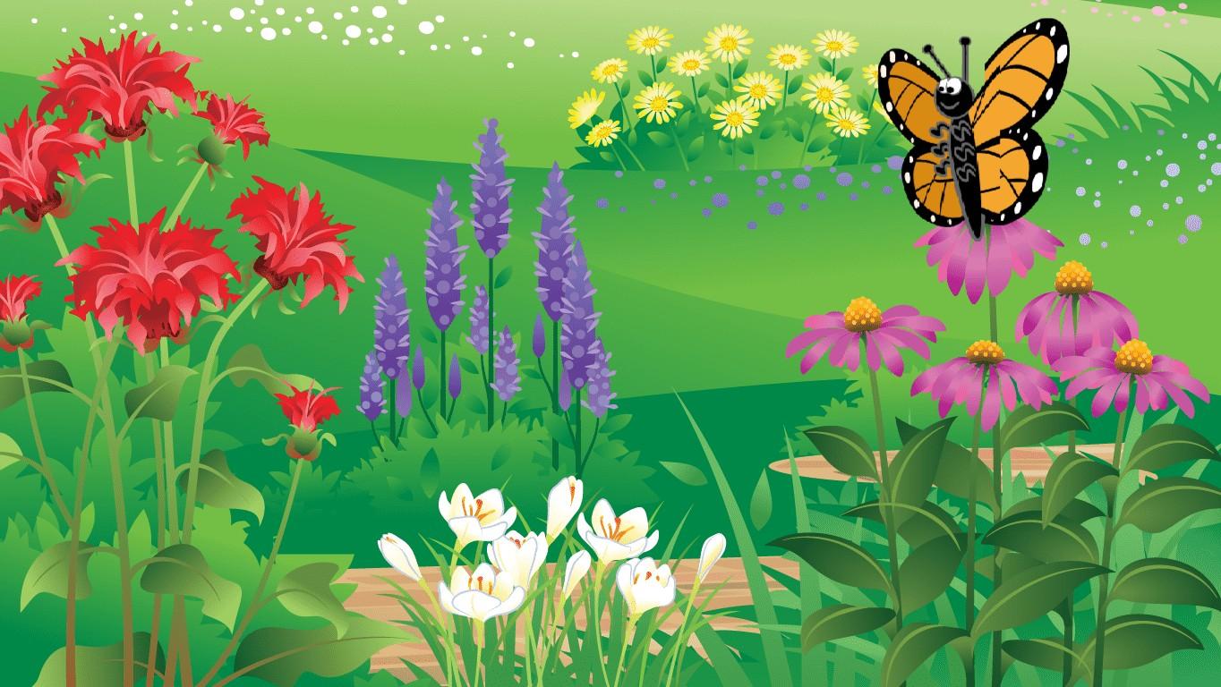 Lifecycle of a Butterfly