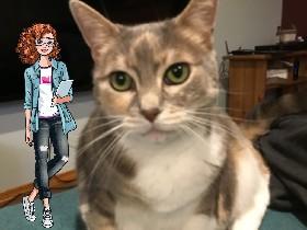 The kitty FBI