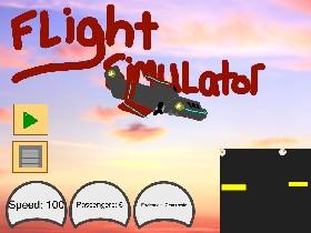Flight Sim 1 1