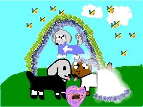 menchi likes gufi