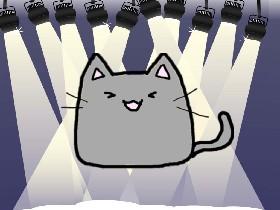 KAWAII CATS!!
