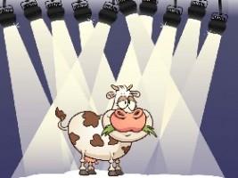cow clicker