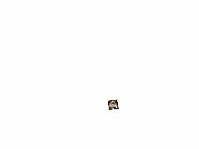 GRUMPY CAT VINe 1