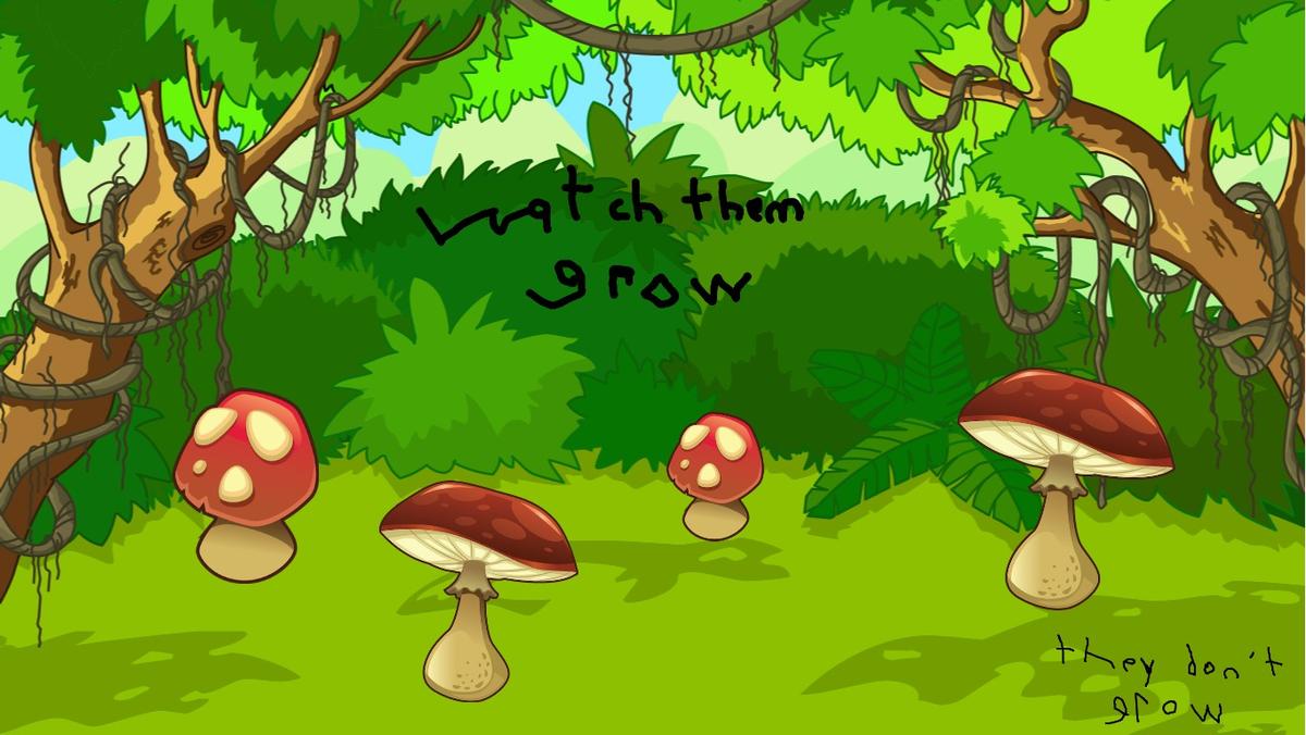watch mushrooms grow