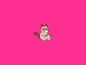 grumpy cat