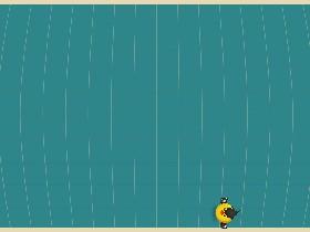 Bird Mayhem 1