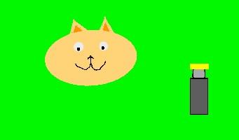 Feed the cat!