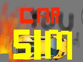 Car Sim RELEASED 1