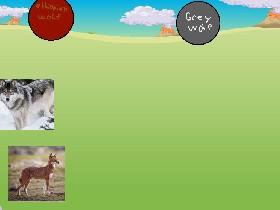 Wolf tap! Update 21 1