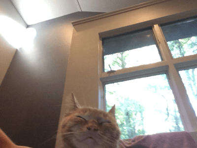 Brick Breaker Game 1