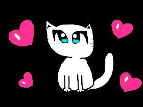 CAT Animation!!!