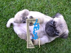 Make It Rain!! 1 1