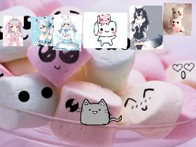 cute marshmellow and cat 1