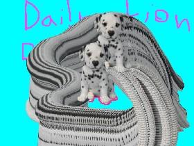 Dailmation Draw!