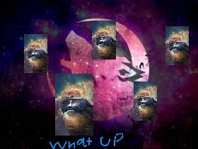 yeet for life