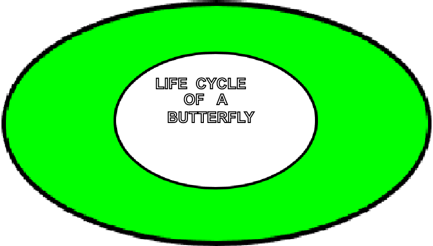 LIFE CYCLE OF A BUTTERFLY