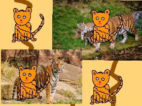 Help the tigers (please copy)