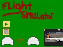 plane simulator 1 1